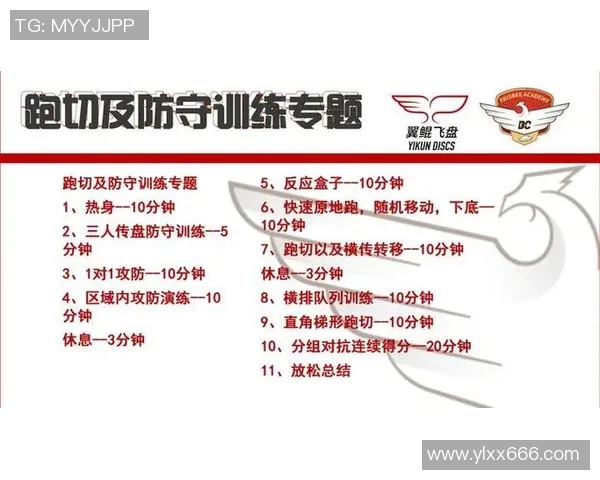 武汉飞盘队的区域防守策略分析与战术解读